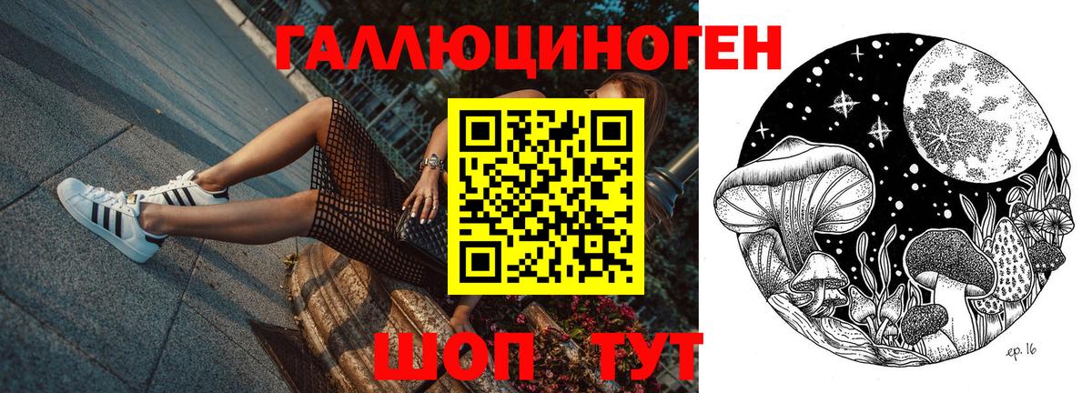 Губаха  Псилоцибиновые грибы ЛСД  Вход с VPN  Галлюциногенные грибы Cubensis 