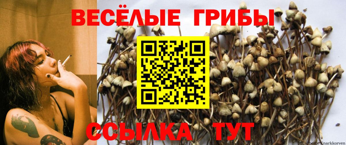  КОКАИН Губаха